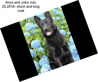 Anya and Juka July 20,2018- stock and long coat