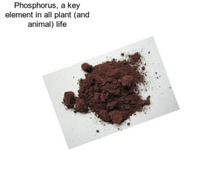 Phosphorus, a key element in all plant (and animal) life