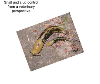 Snail and slug control from a veterinary perspective