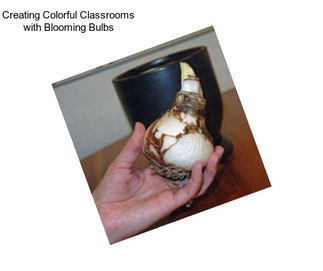 Creating Colorful Classrooms with Blooming Bulbs