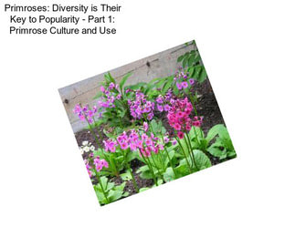 Primroses: Diversity is Their Key to Popularity - Part 1: Primrose Culture and Use