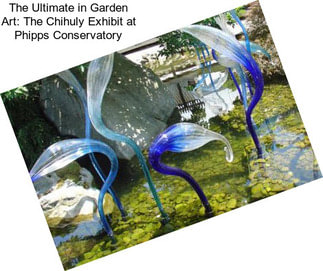 The Ultimate in Garden Art: The Chihuly Exhibit at Phipps Conservatory