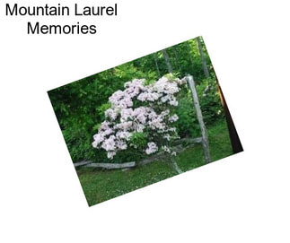 Mountain Laurel Memories