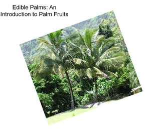 Edible Palms: An Introduction to Palm Fruits