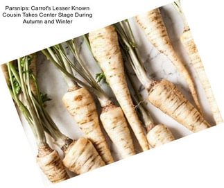 Parsnips: Carrot\'s Lesser Known Cousin Takes Center Stage During Autumn and Winter