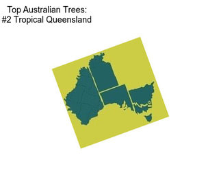 Top Australian Trees: #2 Tropical Queensland