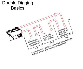 Double Digging Basics