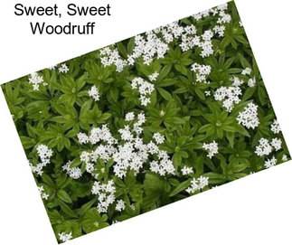 Sweet, Sweet Woodruff