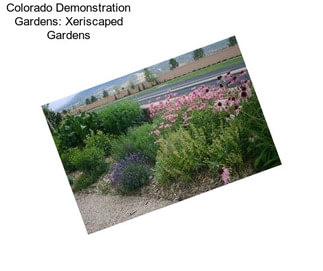 Colorado Demonstration Gardens: Xeriscaped Gardens