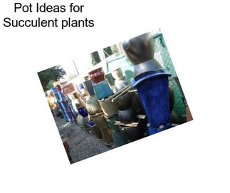 Pot Ideas for Succulent plants