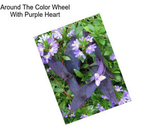 Around The Color Wheel With Purple Heart