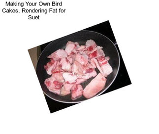 Making Your Own Bird Cakes, Rendering Fat for Suet