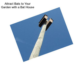 Attract Bats to Your Garden with a Bat House