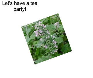 Let\'s have a tea party!