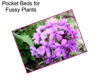 Pocket Beds for Fussy Plants