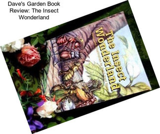 Dave\'s Garden Book Review: The Insect Wonderland