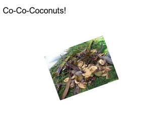 Co-Co-Coconuts!