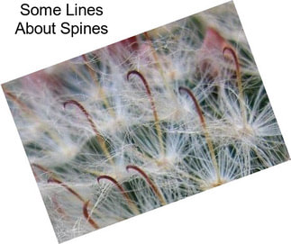 Some Lines About Spines