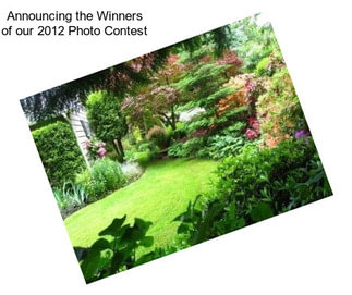 Announcing the Winners of our 2012 Photo Contest