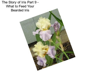 The Story of Iris Part 9 - What to Feed Your Bearded Iris