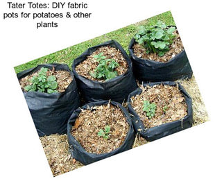 Tater Totes: DIY fabric pots for potatoes & other plants