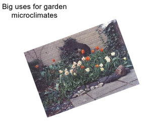 Big uses for garden microclimates