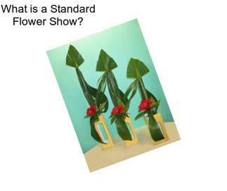 What is a Standard Flower Show?