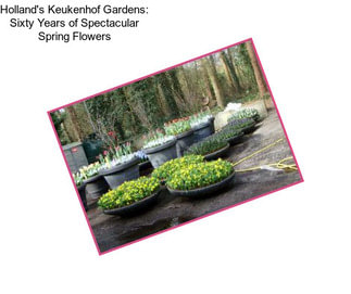 Holland\'s Keukenhof Gardens: Sixty Years of Spectacular Spring Flowers