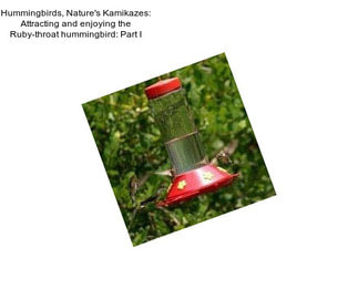 Hummingbirds, Nature\'s Kamikazes: Attracting and enjoying the Ruby-throat hummingbird: Part I