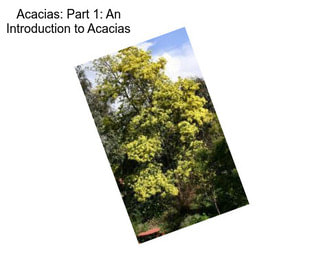 Acacias: Part 1: An Introduction to Acacias