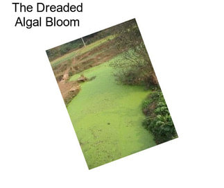 The Dreaded Algal Bloom