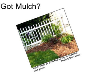 Got Mulch?