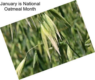 January is National Oatmeal Month