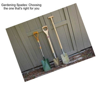 Gardening Spades: Choosing the one that\'s right for you