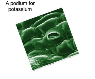 A podium for potassium