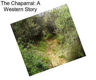 The Chaparral: A Western Story