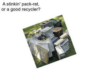 A stinkin\' pack-rat, or a good recycler?