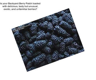 Is your Backyard Berry Patch loaded with delicious, tasty but unusual, exotic, and unfamiliar berries?