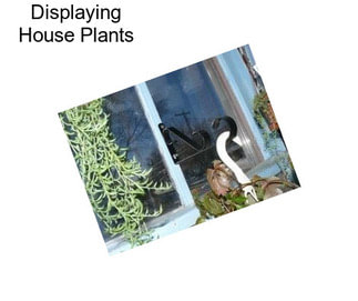 Displaying House Plants