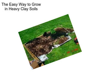 The Easy Way to Grow in Heavy Clay Soils