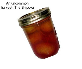 An uncommon harvest: The Shipova