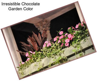 Irresistible Chocolate Garden Color