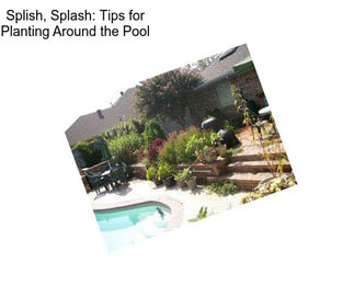 Splish, Splash: Tips for Planting Around the Pool