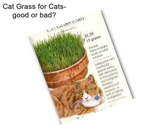 Cat Grass for Cats- good or bad?