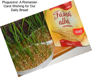 Plugusorul: A Romanian Carol Wishing for Our Daily Bread