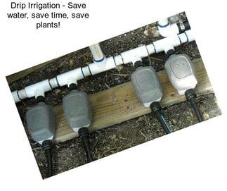 Drip Irrigation - Save water, save time, save plants!