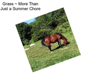 Grass ~ More Than Just a Summer Chore