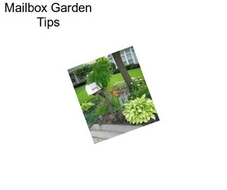 Mailbox Garden Tips