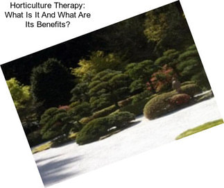 Horticulture Therapy: What Is It And What Are Its Benefits?