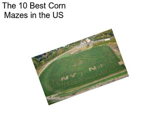 The 10 Best Corn Mazes in the US